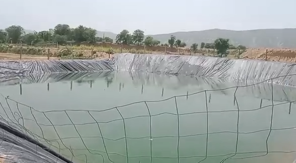 अलवर: फार्म पॉन्ड में डूबने से दो मासूम बच्चों की मौत
