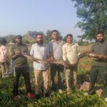हनुमानगढ़ निकाय चुनाव में बूथ के बाहर बवाल, दो प्रत्याशी भिड़े; थप्पड़ और ईंट से हमले का आरोप